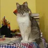 Отзыв от Лада Комарова